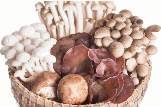 菇类可降低罹患前列腺癌的风险